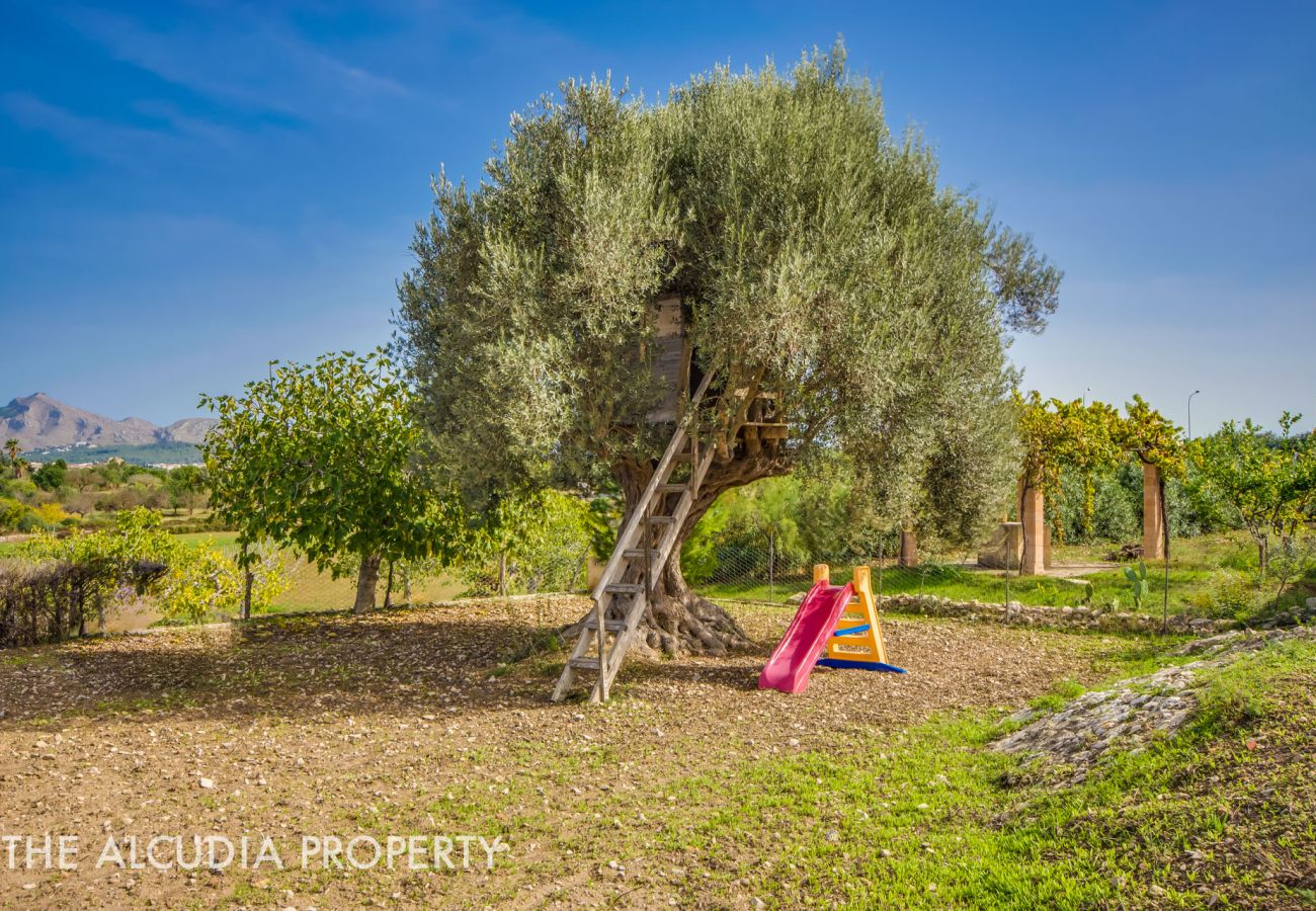 Finca en Alcúdia - FINCA "PEGASUS"