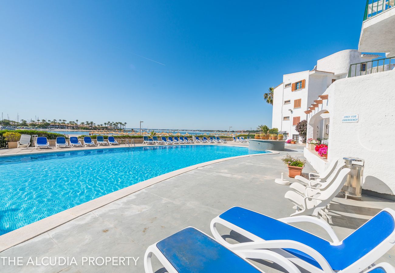 Apartamento en Alcúdia - APARTAMENTO  THIERRY