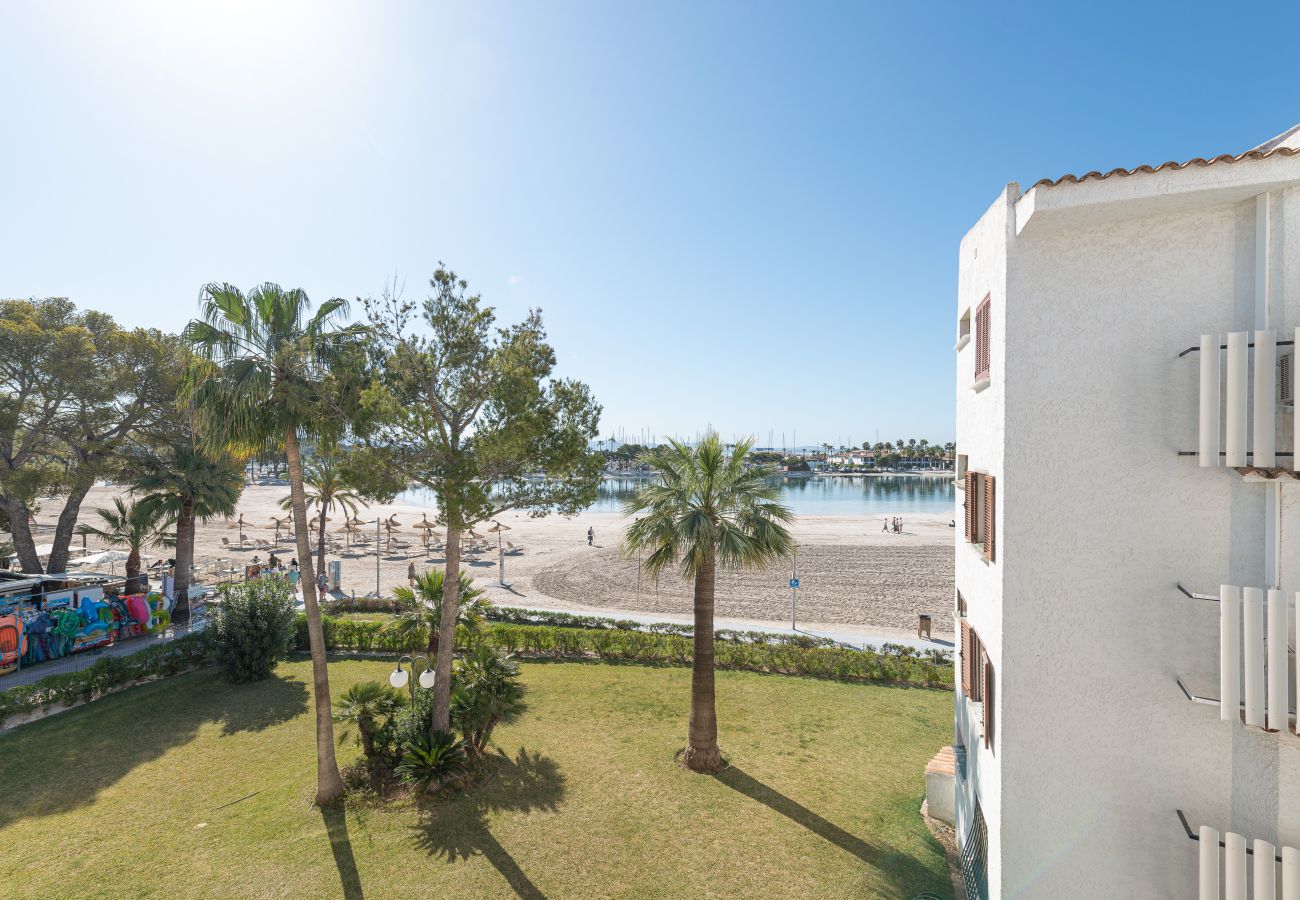 Apartamento en Alcúdia - APARTAMENTO  THIERRY