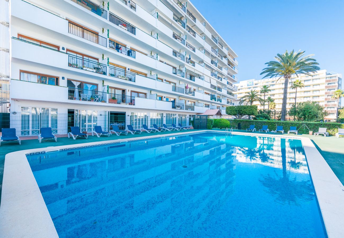 Piscina, Apartamento Carole en el Port d´Alcudia con piscina para 2 personas