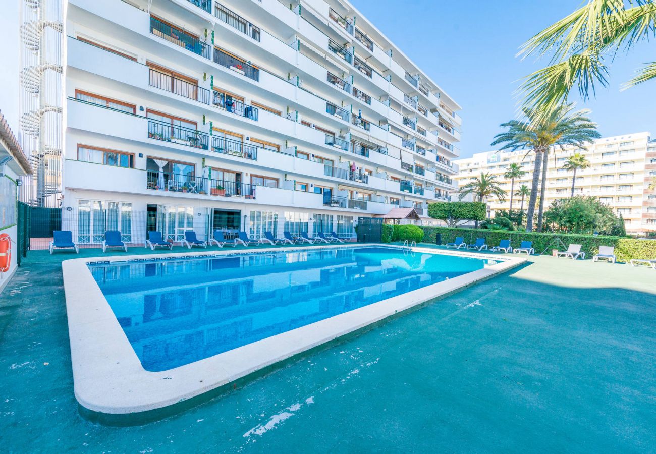 Apartamento en Alcúdia - Apartamento Lyna