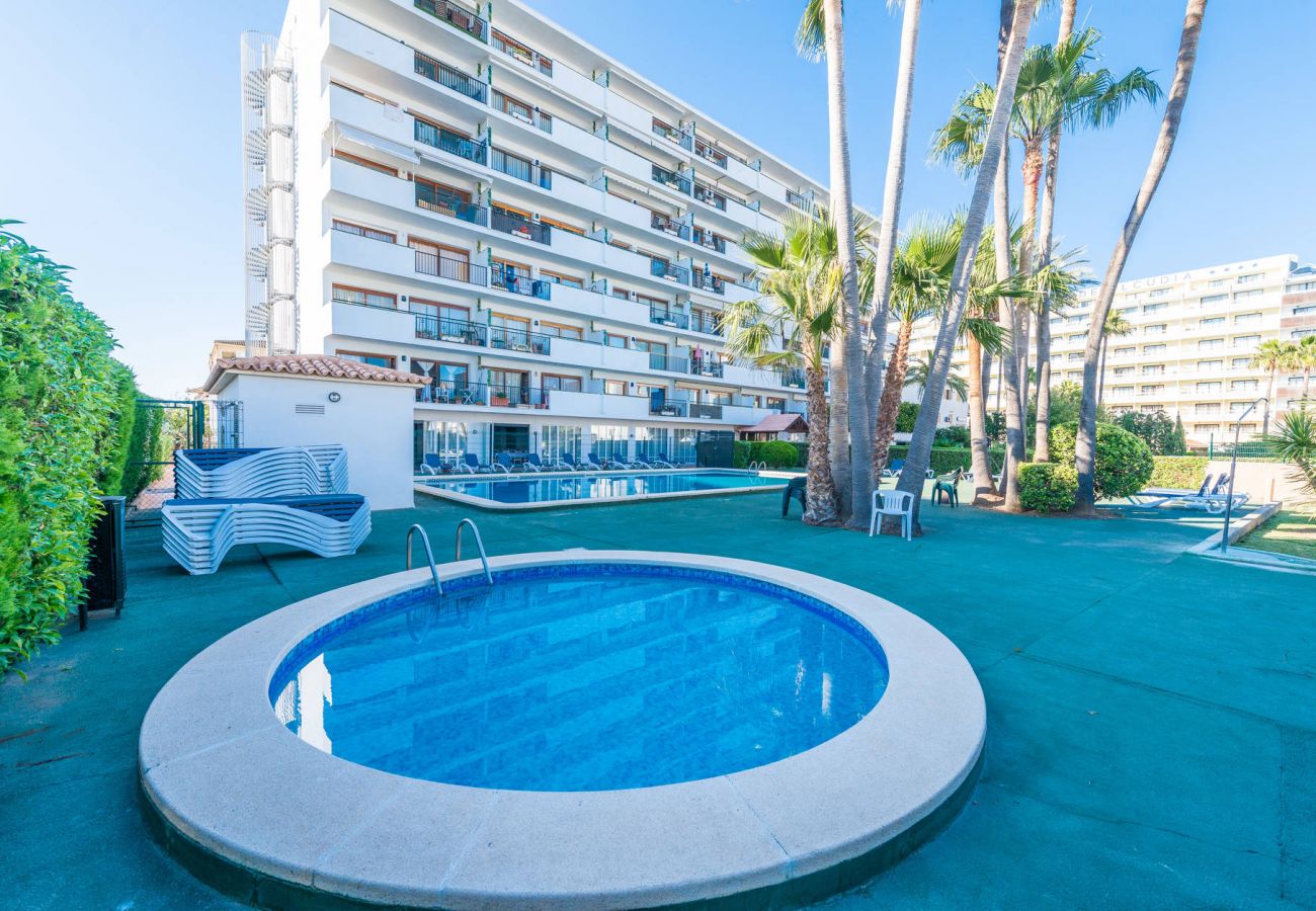 Apartamento en Alcúdia - Apartamento Lyna