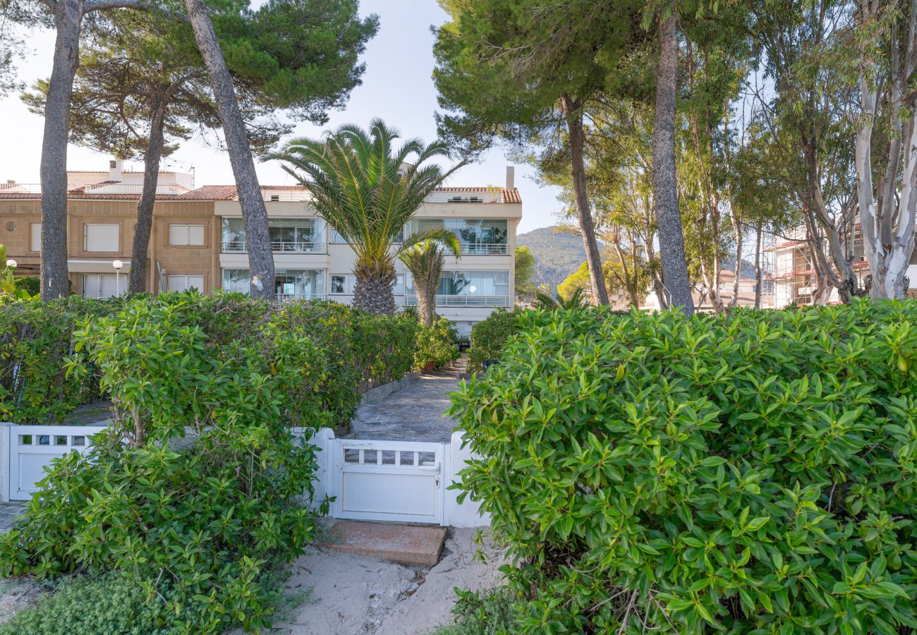 Apartamento en Alcúdia - Casa Ketilla