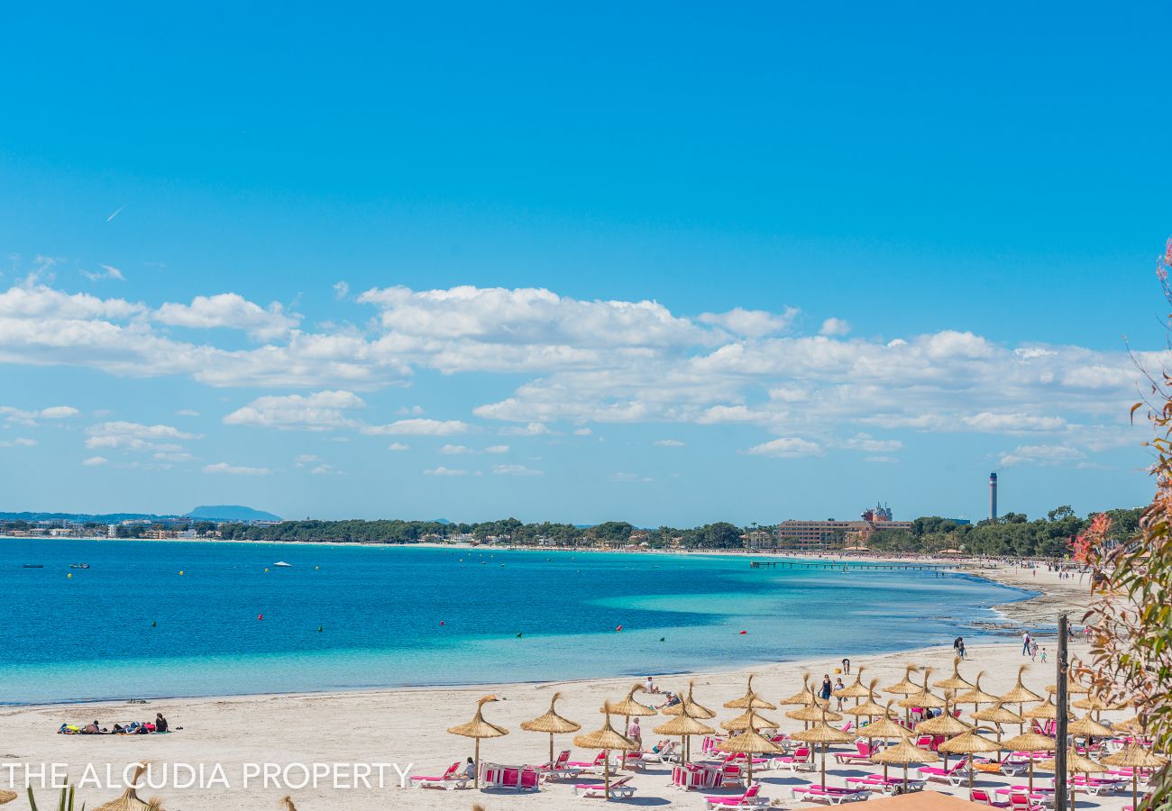 Ferienwohnung in Alcudia - APARTAMENTO BLUE LAGOON