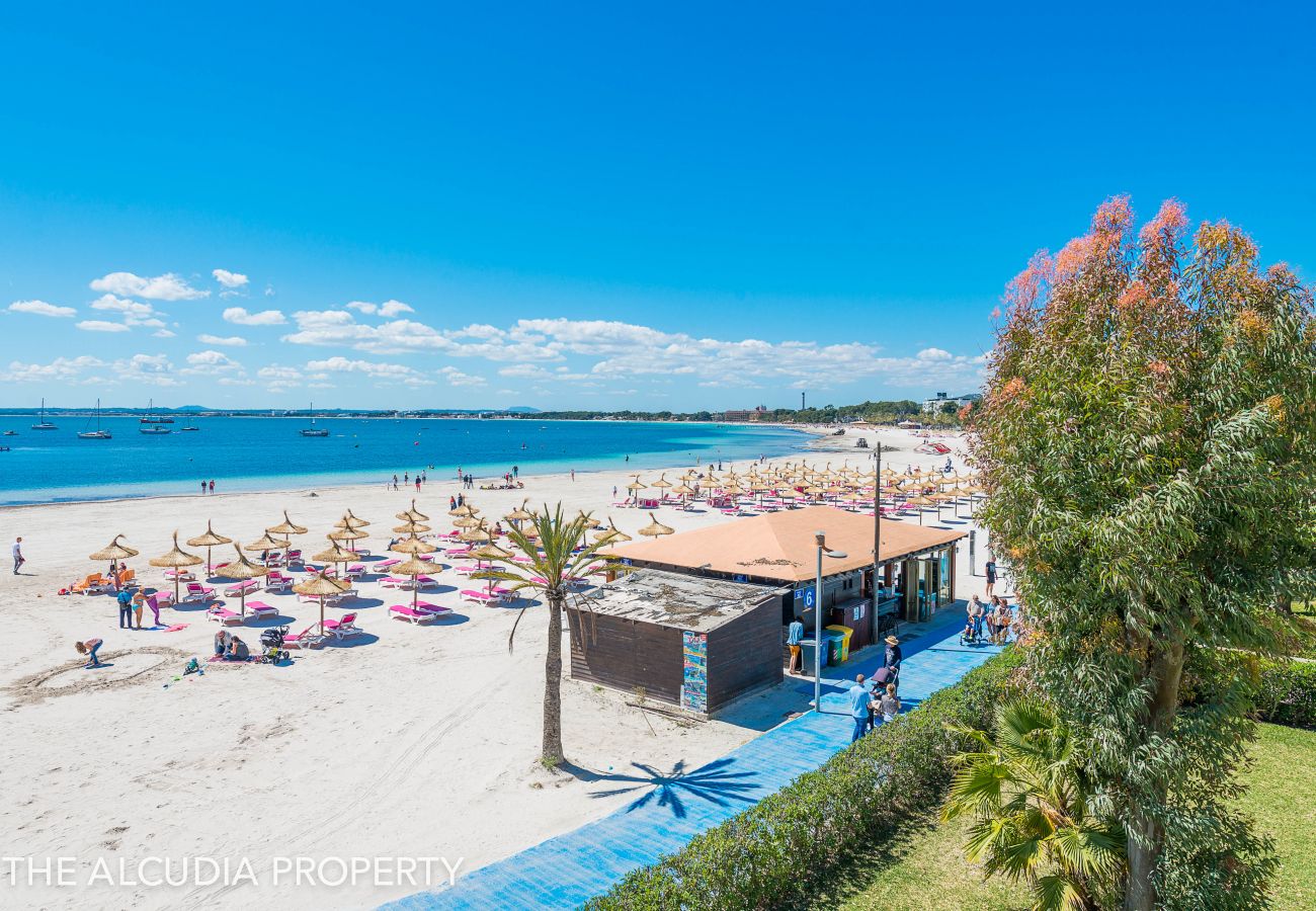 Ferienwohnung in Alcudia - APARTAMENTO BLUE LAGOON