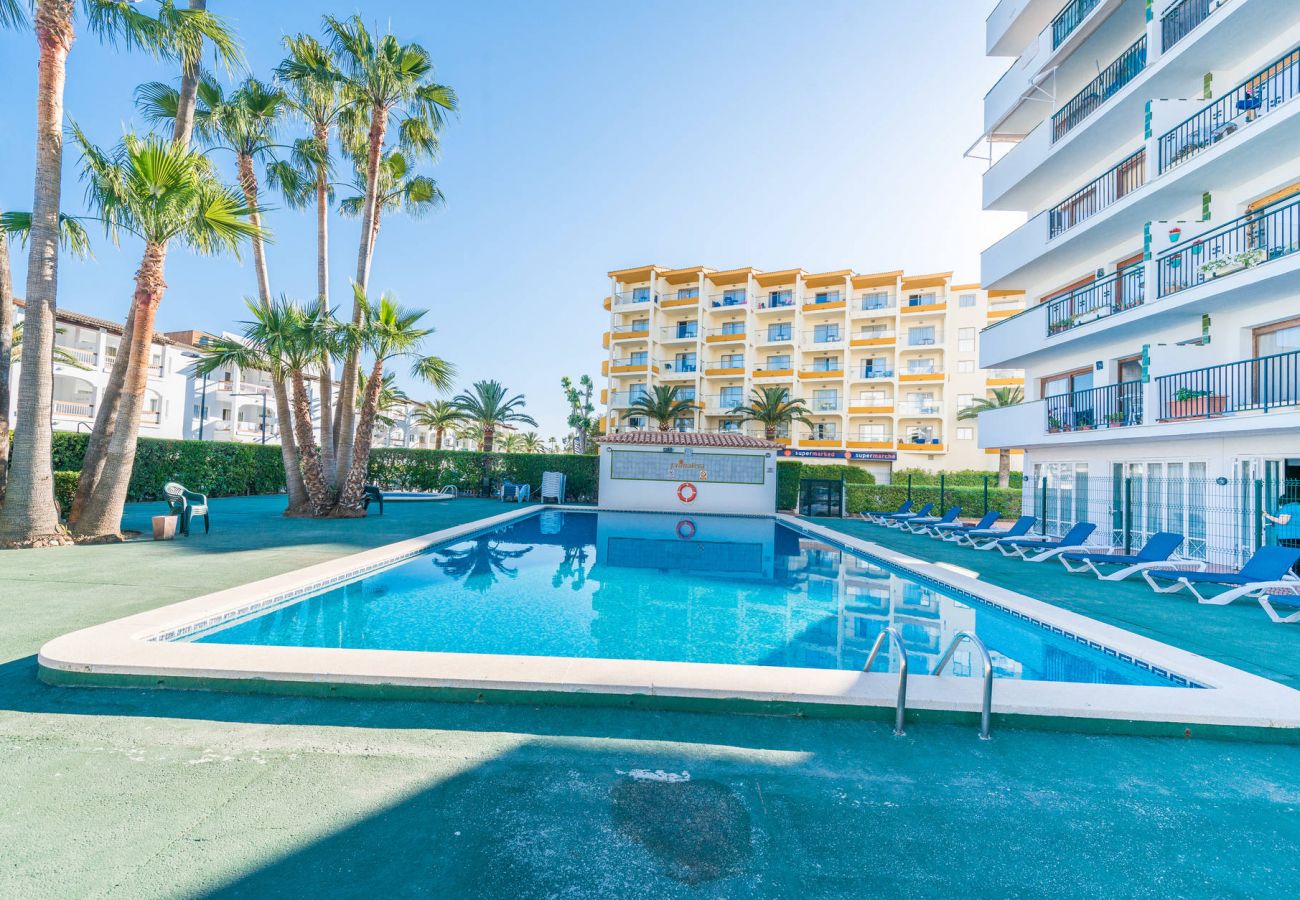 Ferienwohnung in Alcudia - Apartamento Lyna