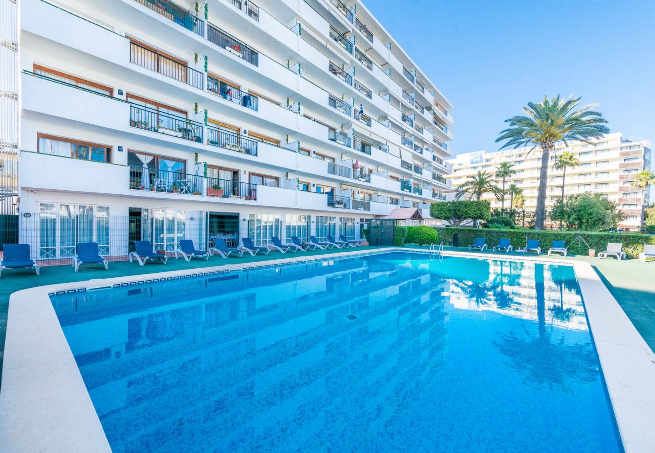 Ferienwohnung in Alcudia - Apartamento Lyna