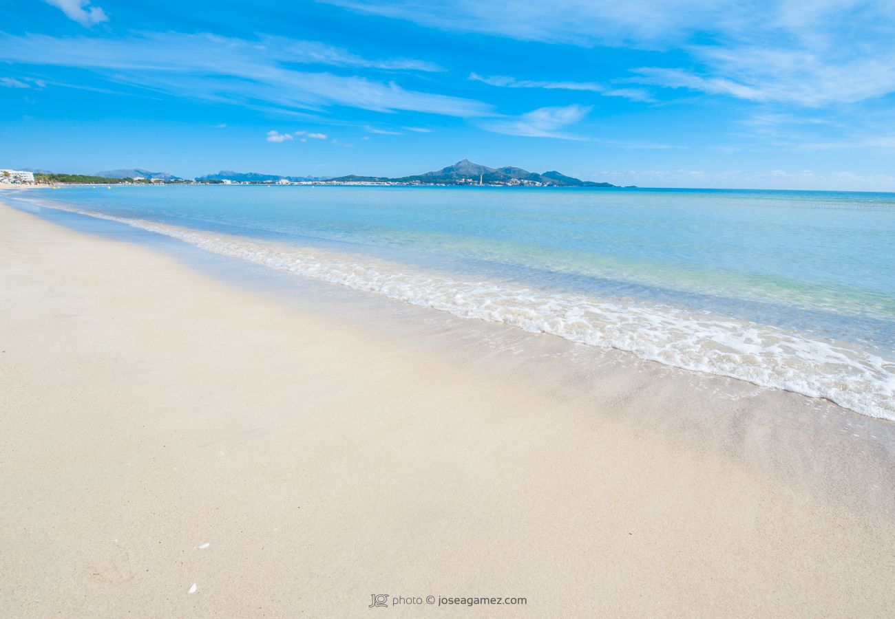 Appartement à Alcudia - APARTAMENTO BLUE LAGOON